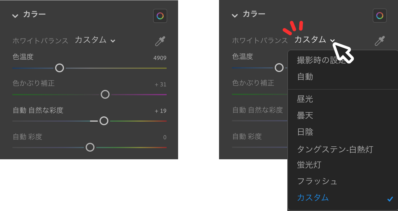 Adobe Lightroom ポートフォリオをもっと魅力的に 作品写真の加工方法 はたらくビビビット By Vivivit Inc